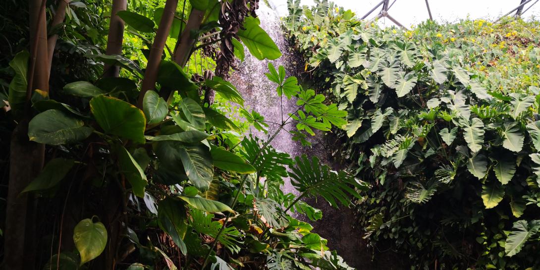 Ogród botaniczny Eden Project - Wodospad